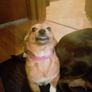 Meet your Posher, Ashley